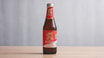 Saigon 4,9% (0,355 l)